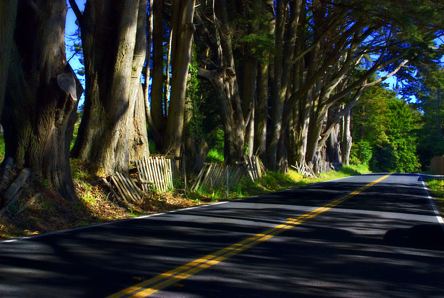 CA 1 Scene 41
